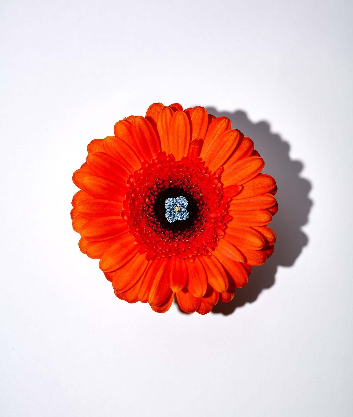 Blue Poppy Charm - Image 4